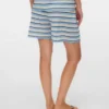 Shorts in regulärer Passform
