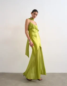 Tsannika Langes Kleid