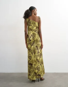 Tsvaya Langes Kleid